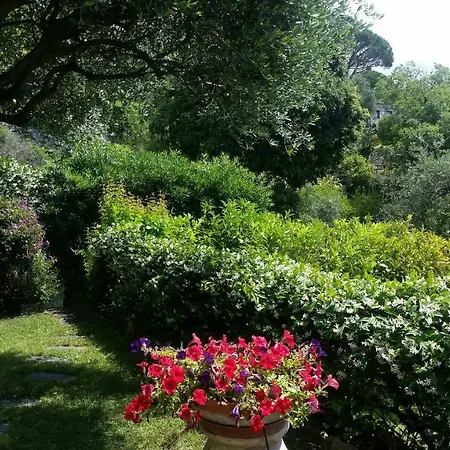 Heaven Santa Margherita Santa Margherita Ligure