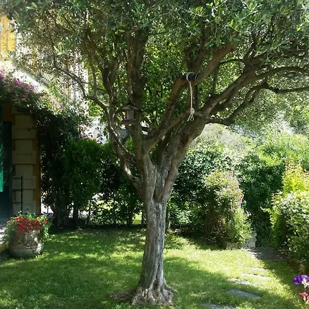 Heaven Santa Margherita Apartment